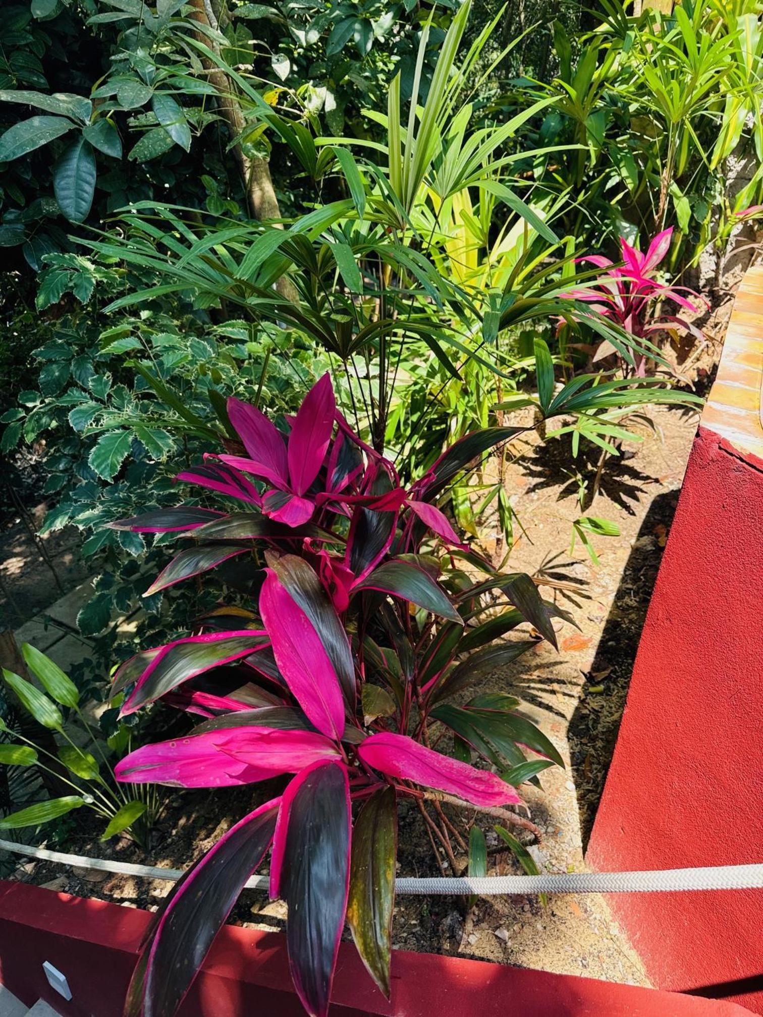 Jardim Botânico Casa Rossa Bungalows & Apartments