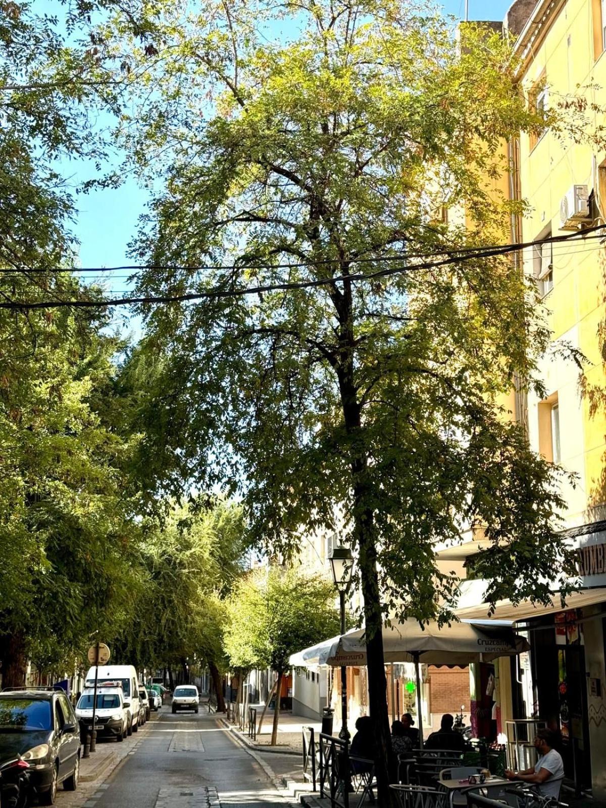 Apartamento con Parking El Rincón del Arte Granada Centro