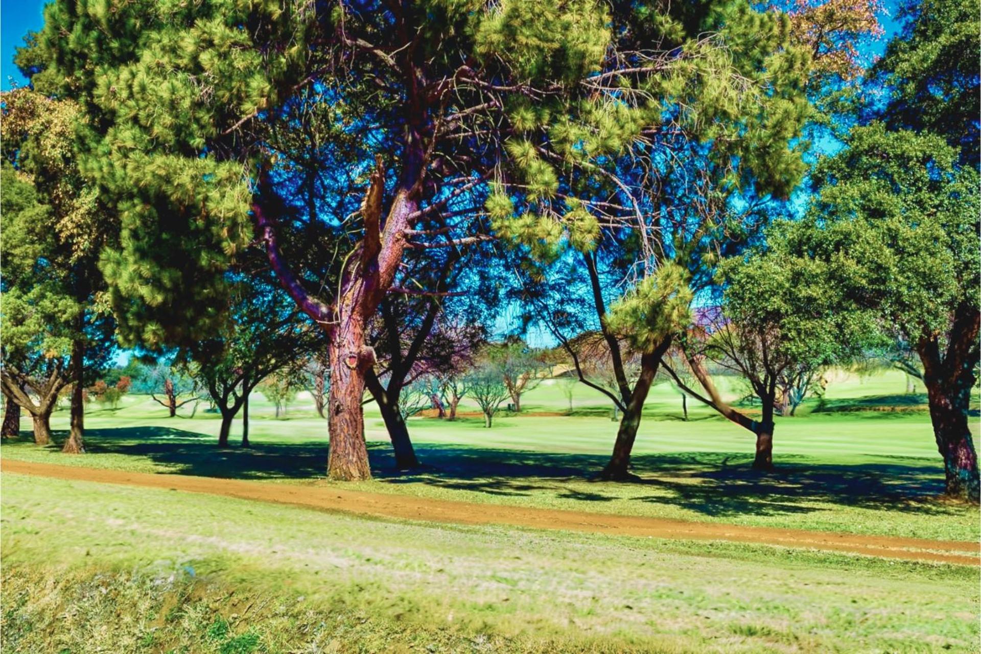 Glendower View Guest House