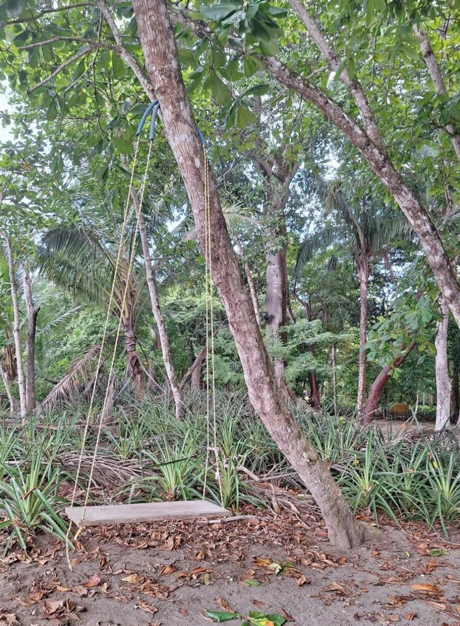 Four Monkeys Eco Lodge Jungle & Beach - The House