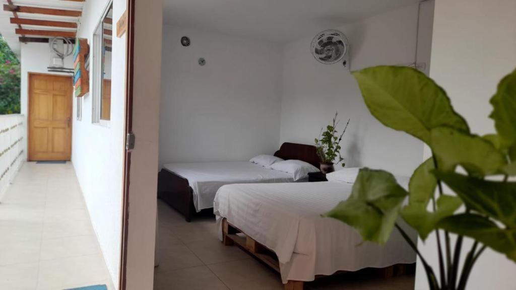 Casa de petra hostal