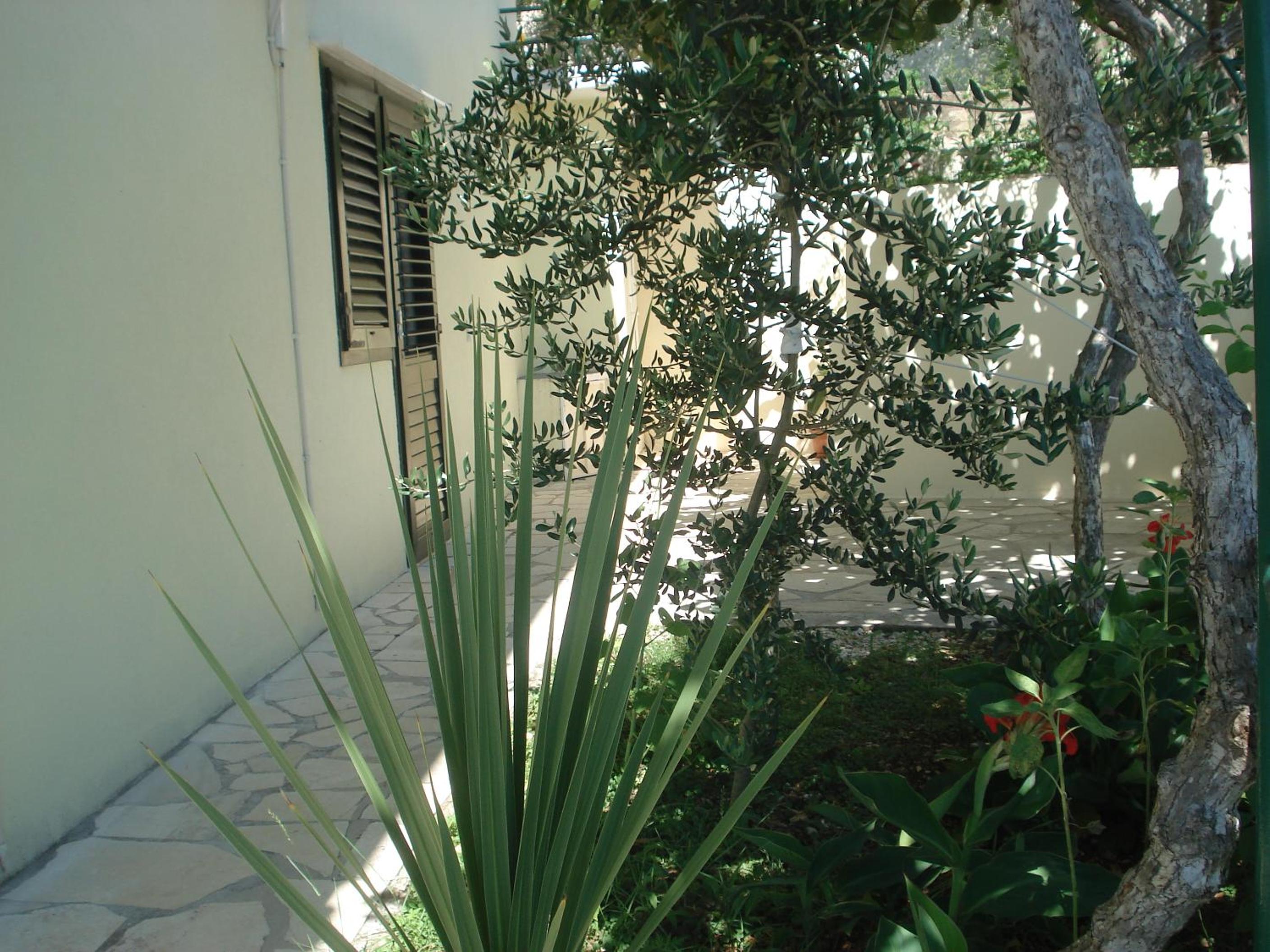 Photo 36
