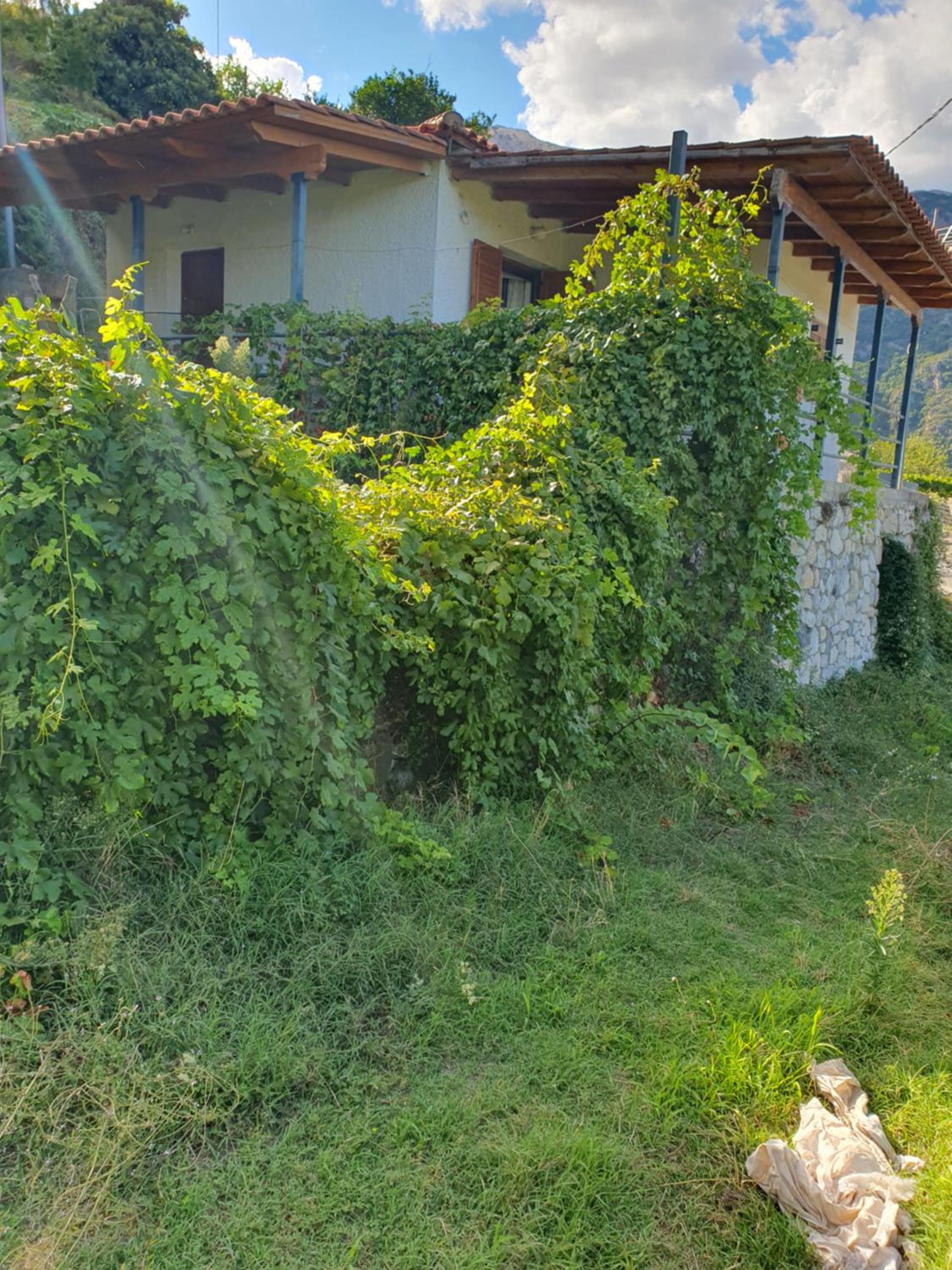 Tripi village