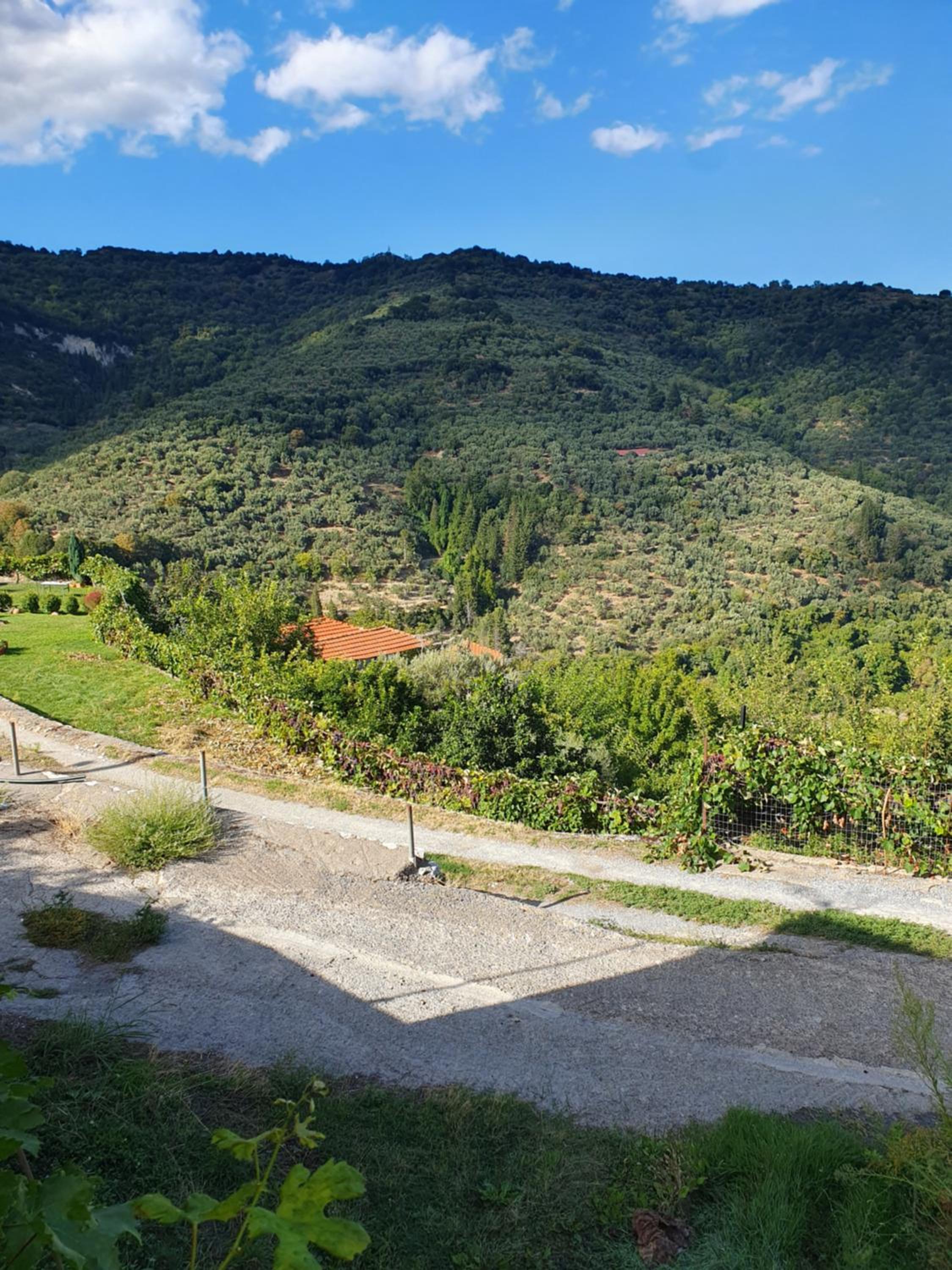 Tripi village