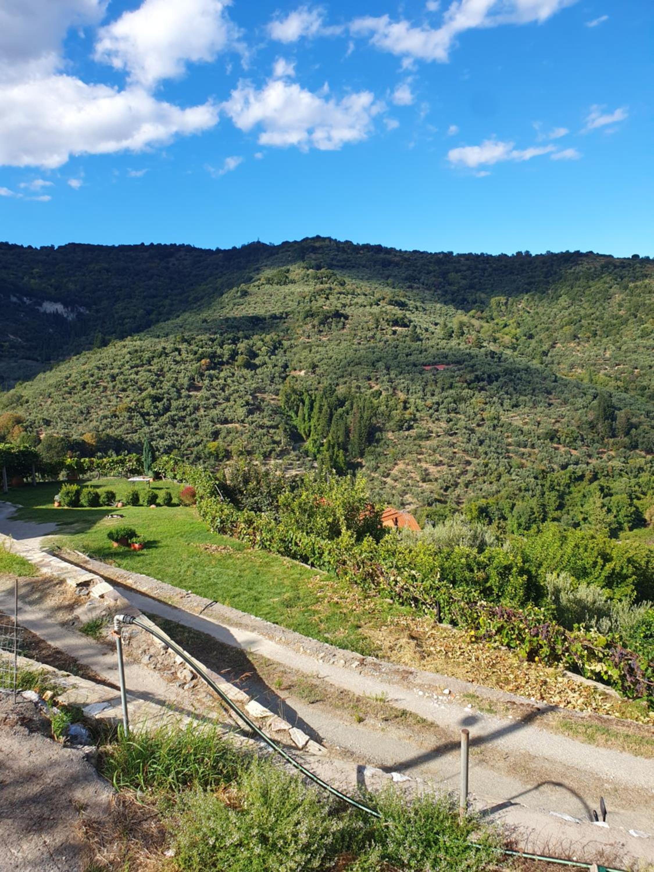 Tripi village