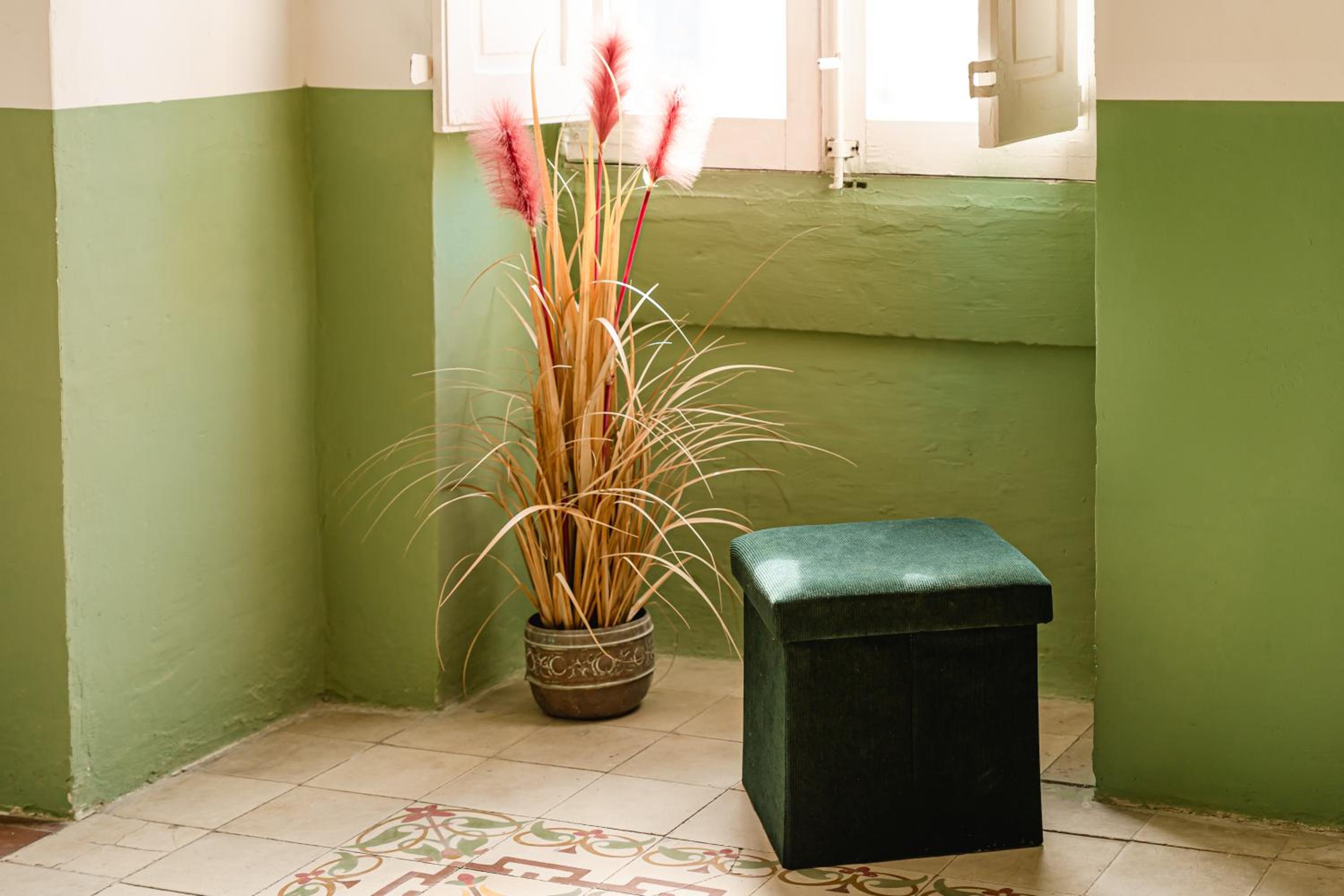 Senglea Jungle Palazzo view 2