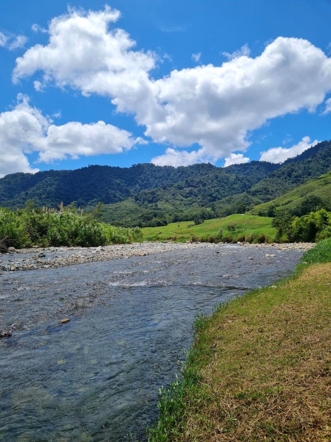 Bosque Tapantí, cerca del PN Tapantí en Orosí, Cartago, Costa Rica