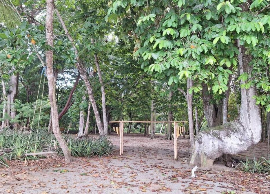 Four Monkeys Eco Lodge Jungle & Beach - The House