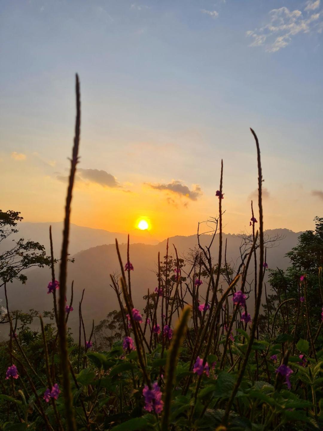 Bosque Tapantí, cerca del PN Tapantí en Orosí, Cartago, Costa Rica