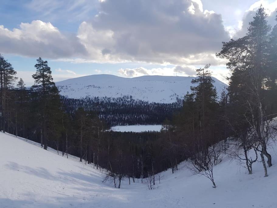 Forest Ranger's House, Authentic Lappish atmosphere