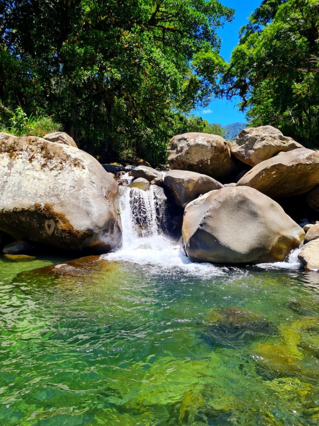 Bosque Tapantí, cerca del PN Tapantí en Orosí, Cartago, Costa Rica