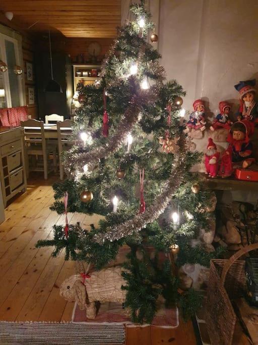 Forest Ranger's House, Authentic Lappish atmosphere