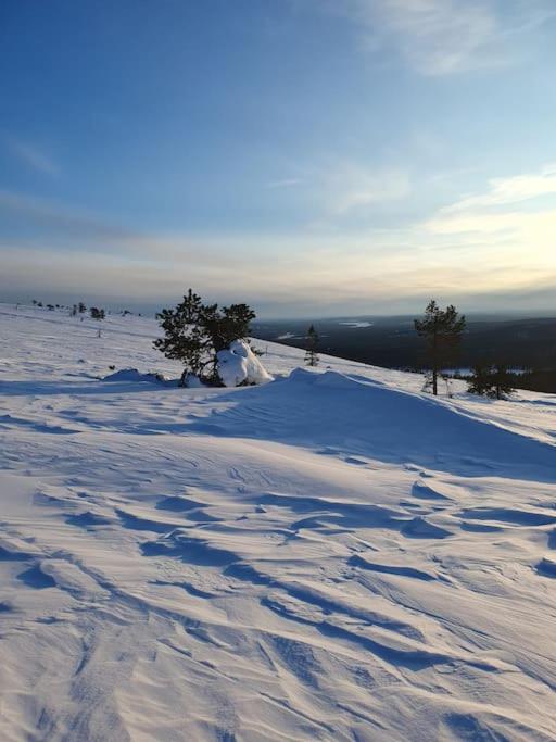 Forest Ranger's House, Authentic Lappish atmosphere