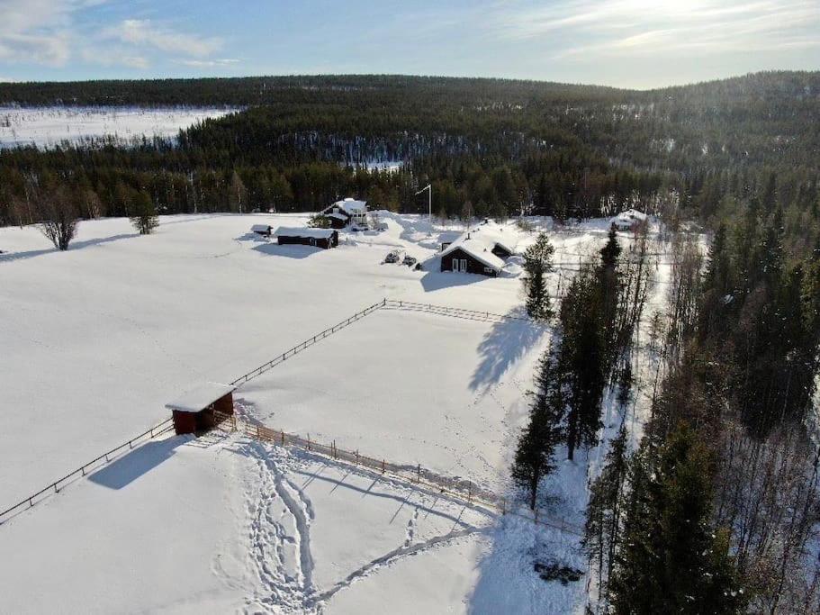 Forest Ranger's House, Authentic Lappish atmosphere