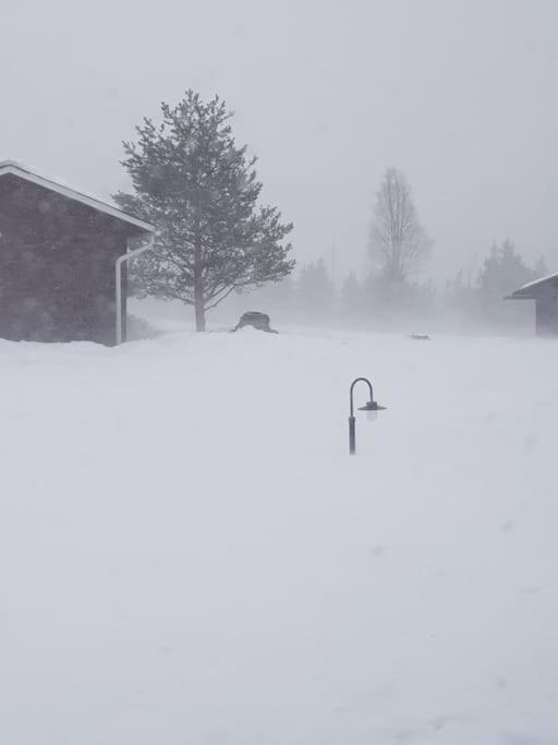 Forest Ranger's House, Authentic Lappish atmosphere
