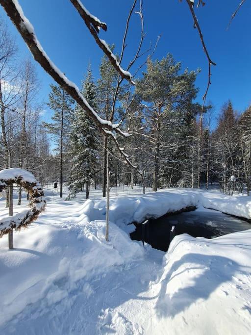 Forest Ranger's House, Authentic Lappish atmosphere