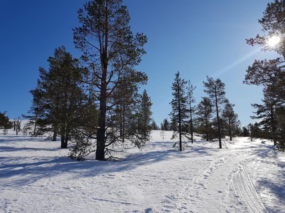 Forest Ranger's House, Authentic Lappish atmosphere