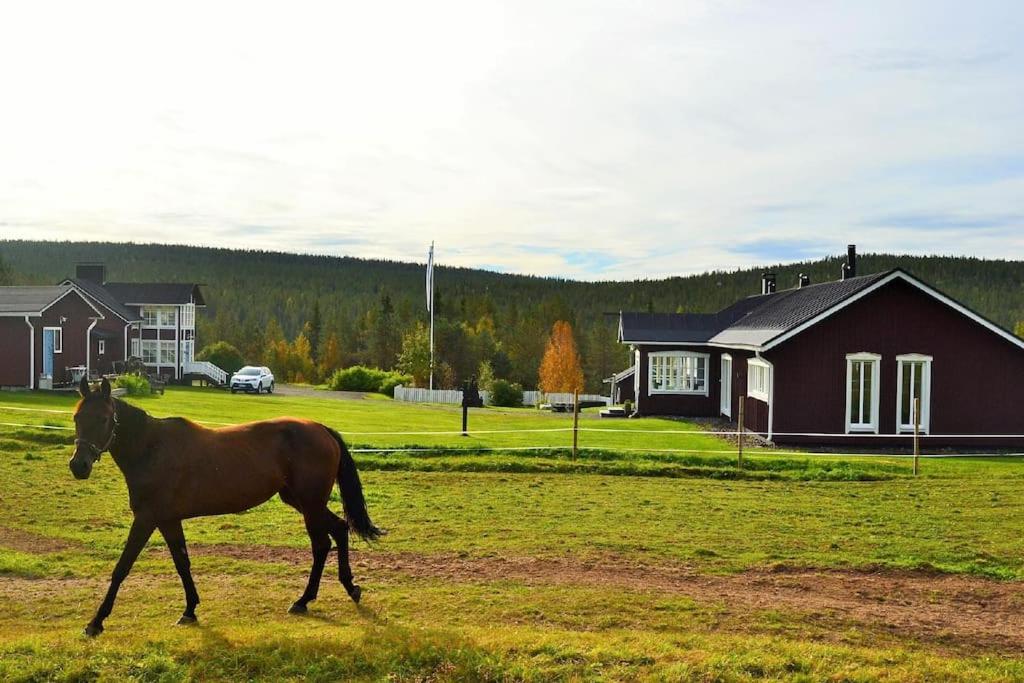 Forest Ranger's House, Authentic Lappish atmosphere