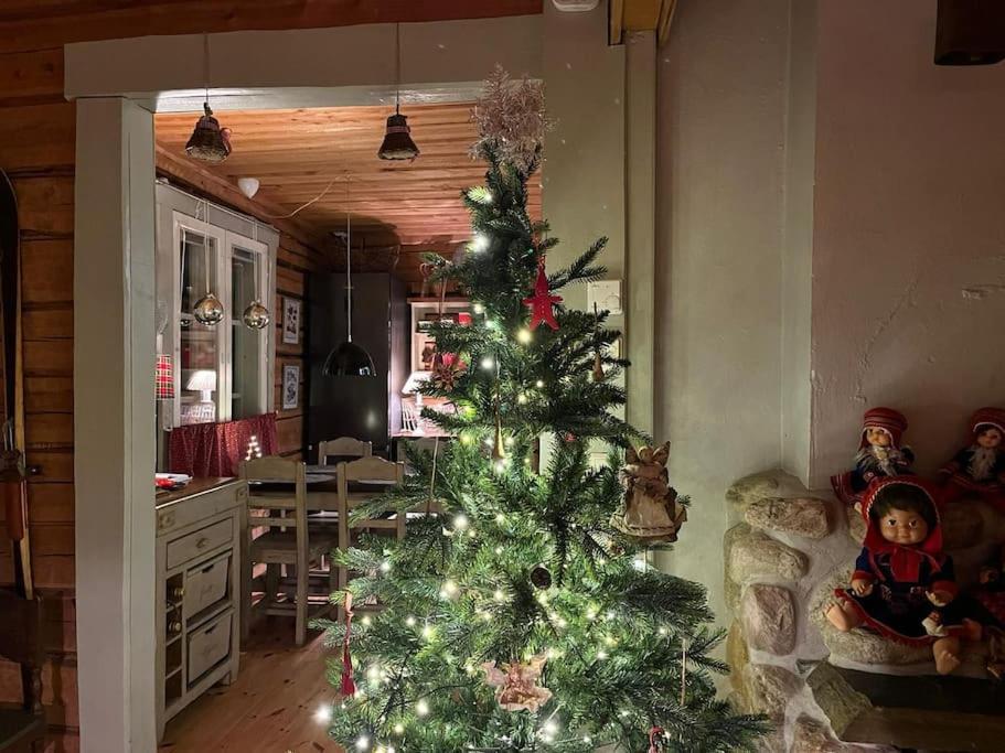 Forest Ranger's House, Authentic Lappish atmosphere