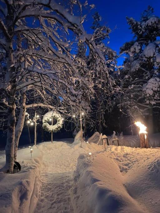Forest Ranger's House, Authentic Lappish atmosphere