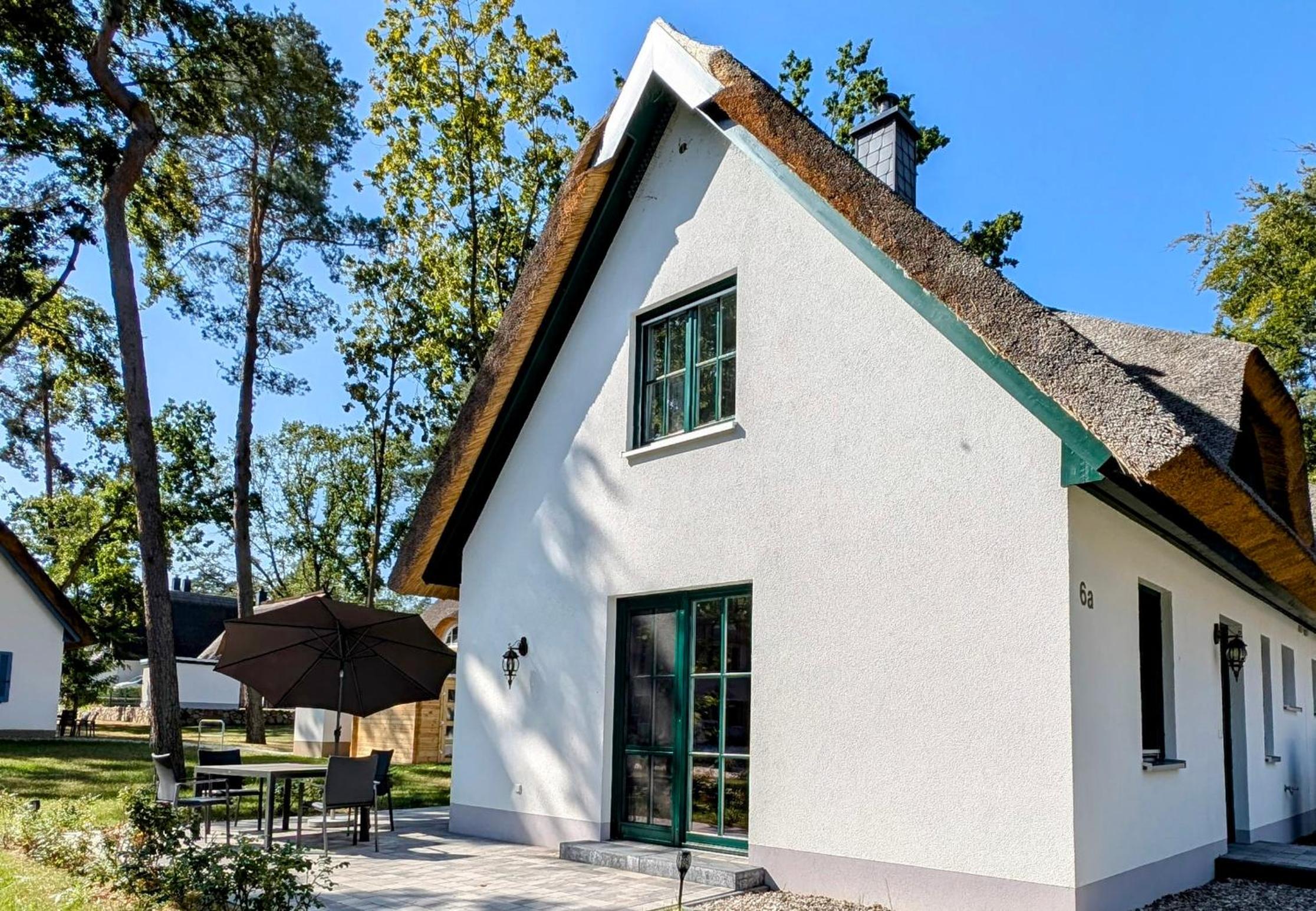 Sandregenpfeifer