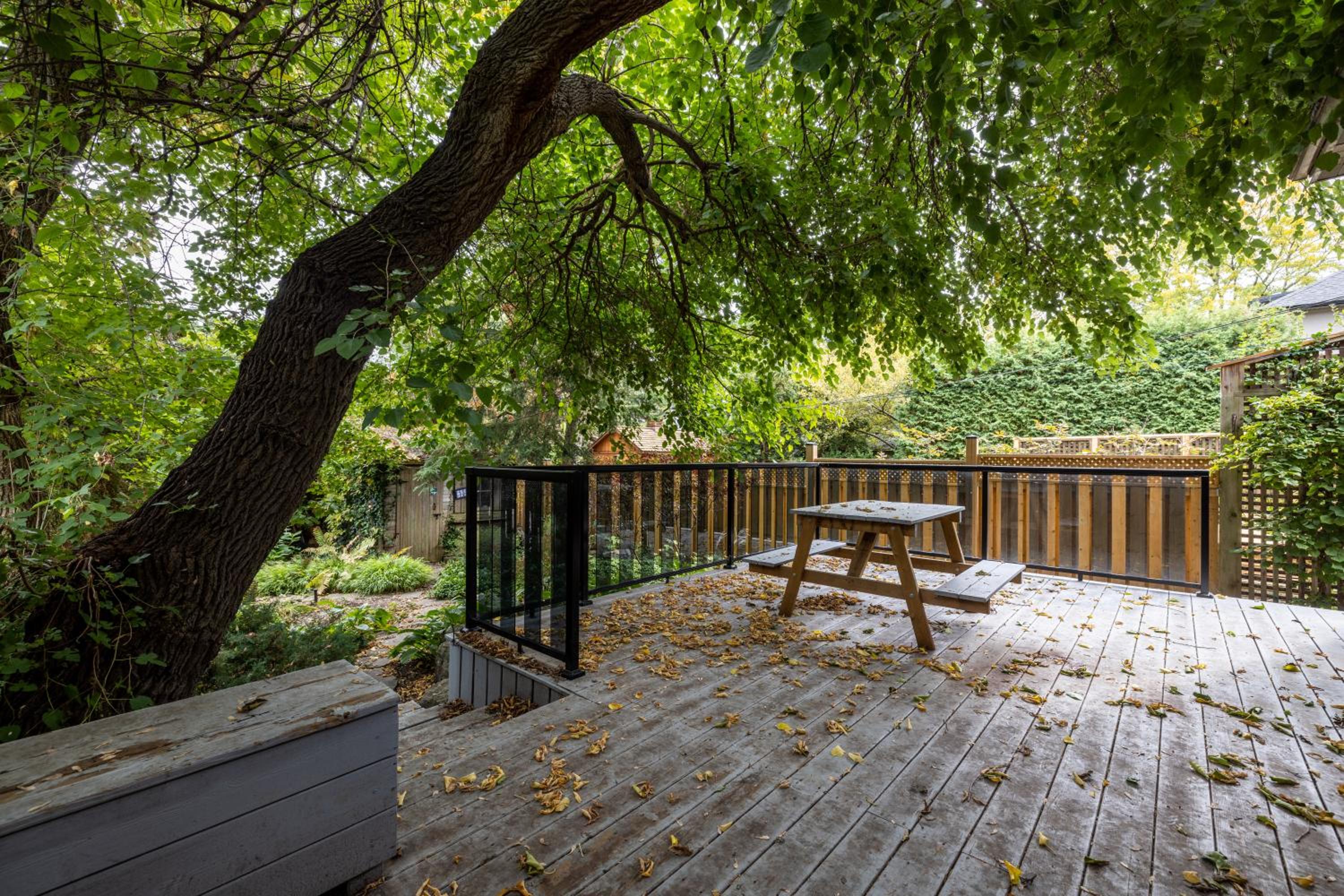 Double bedroom on up or 3 bedrooms in basement near Eglinton subway station