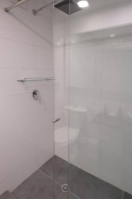 Amazing 3 BR apt in Zona Rosa