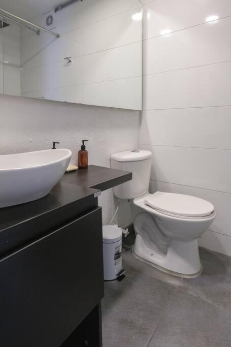 Amazing 3 BR apt in Zona Rosa