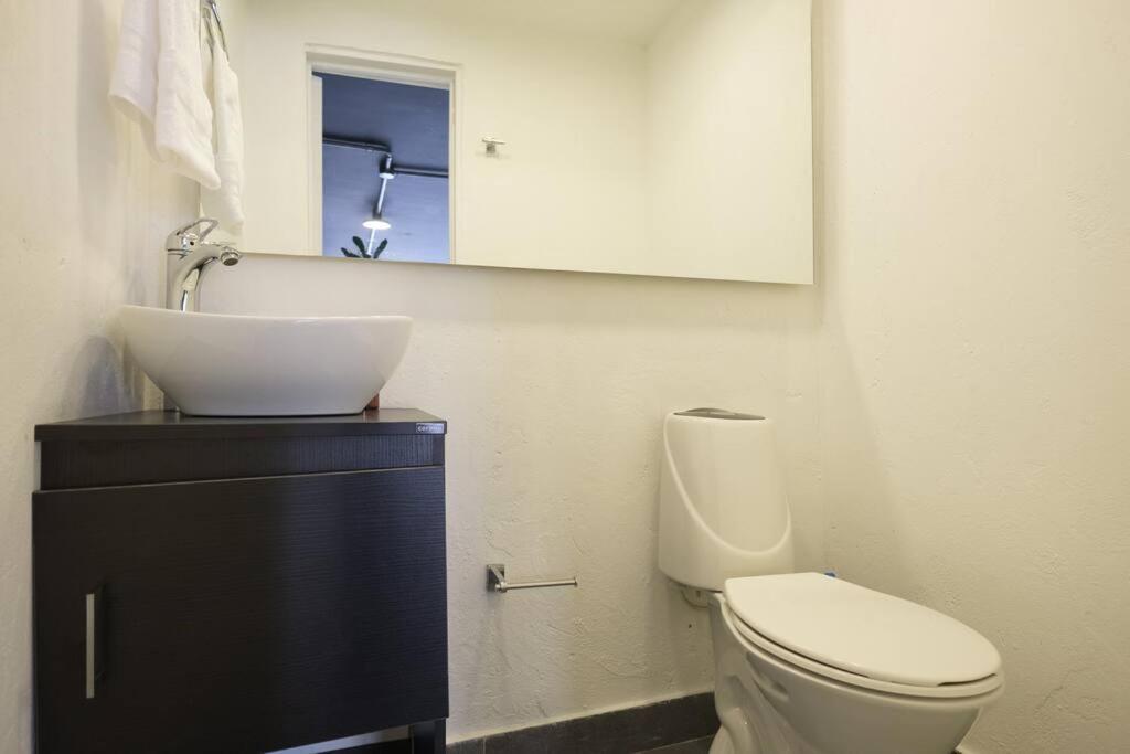 Amazing 3 BR apt in Zona Rosa