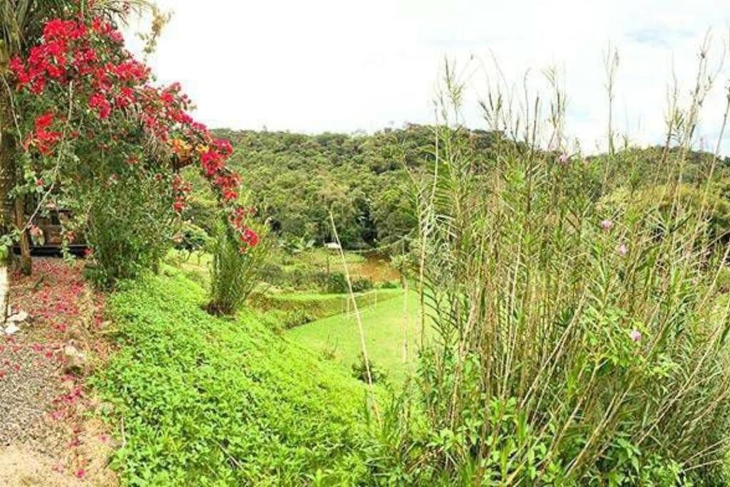 Mirante dos Manacás - Antiga Chácara Esperança