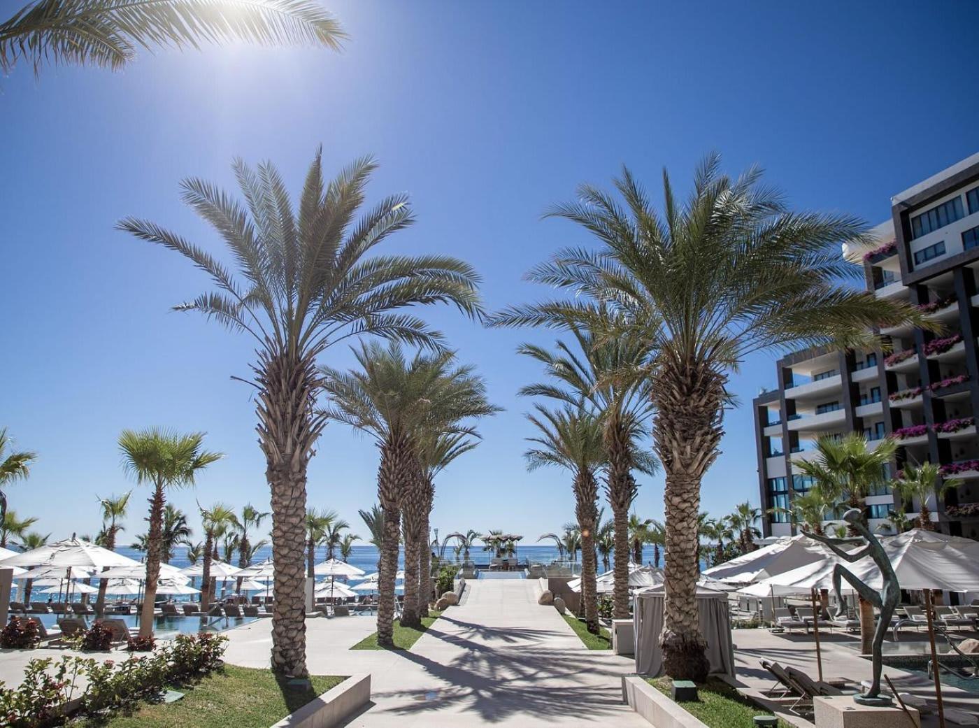 1BD Oceanview Suite Garza Blanca in Cabo