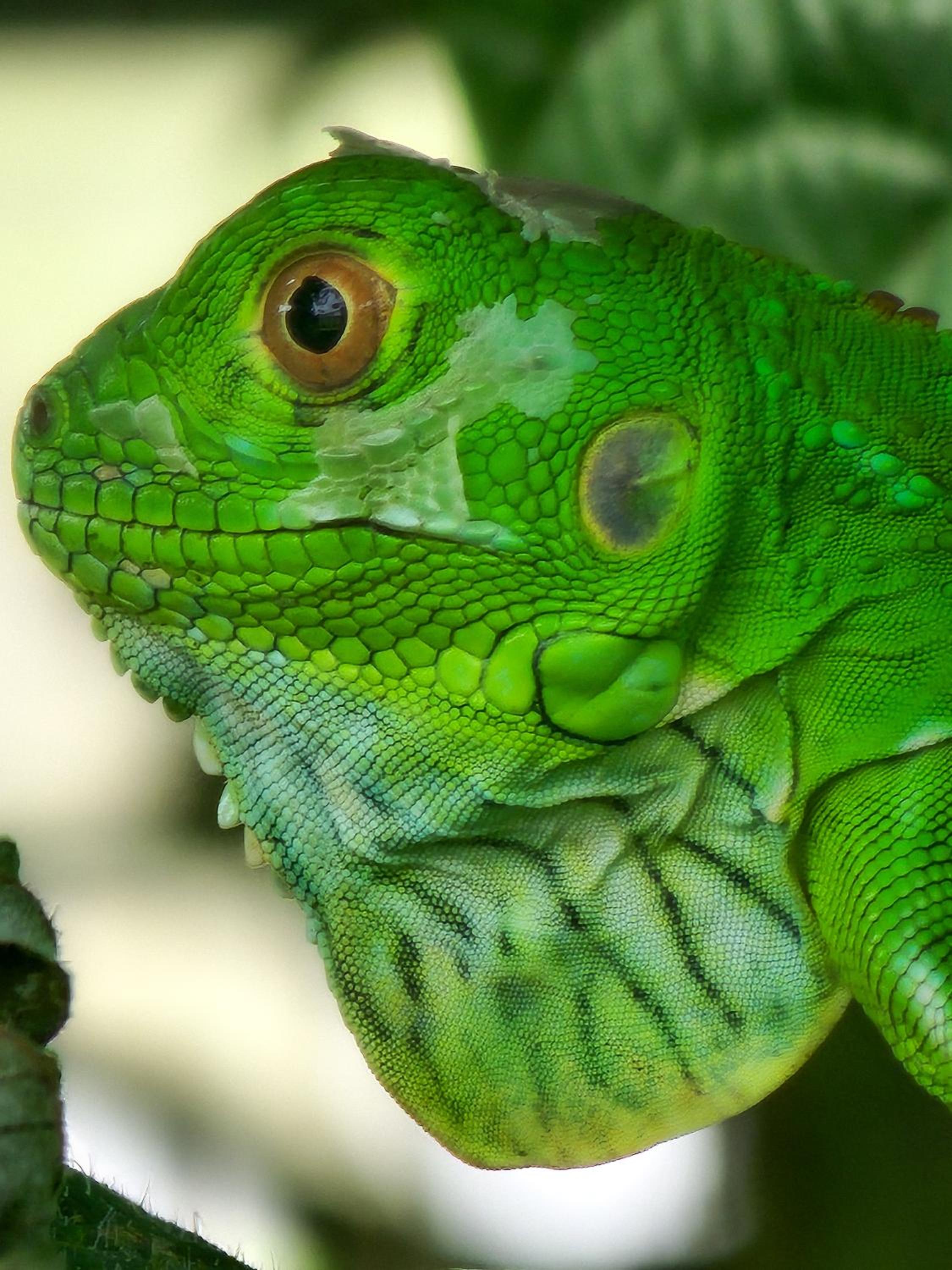 Departamento 7 Tortuguero
