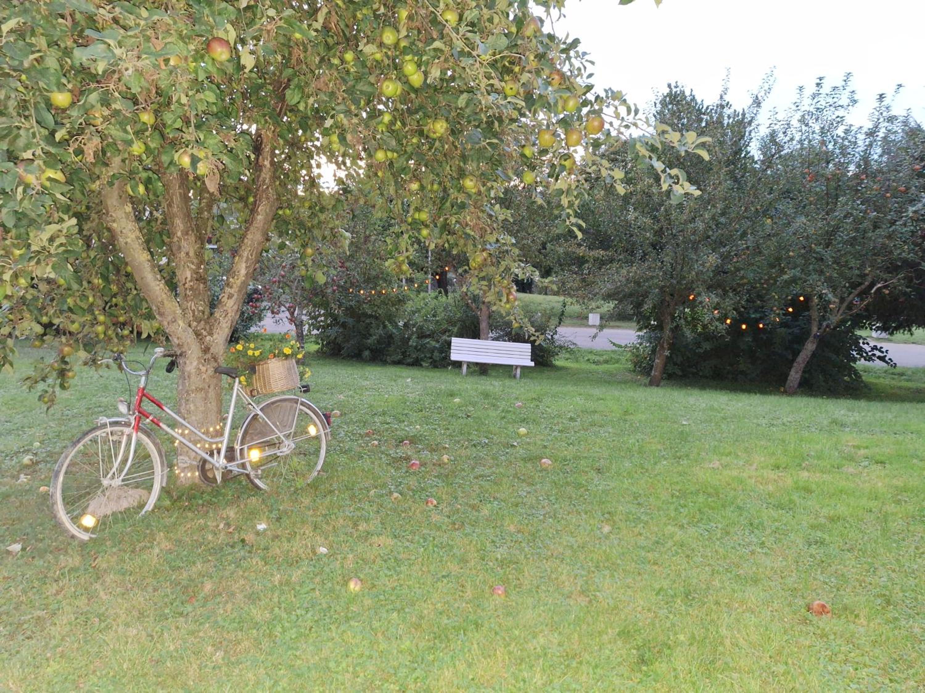 Ferienwohnungen CASA TAMALTIO am Moselradweg - Nähe Trier und Luxemburg