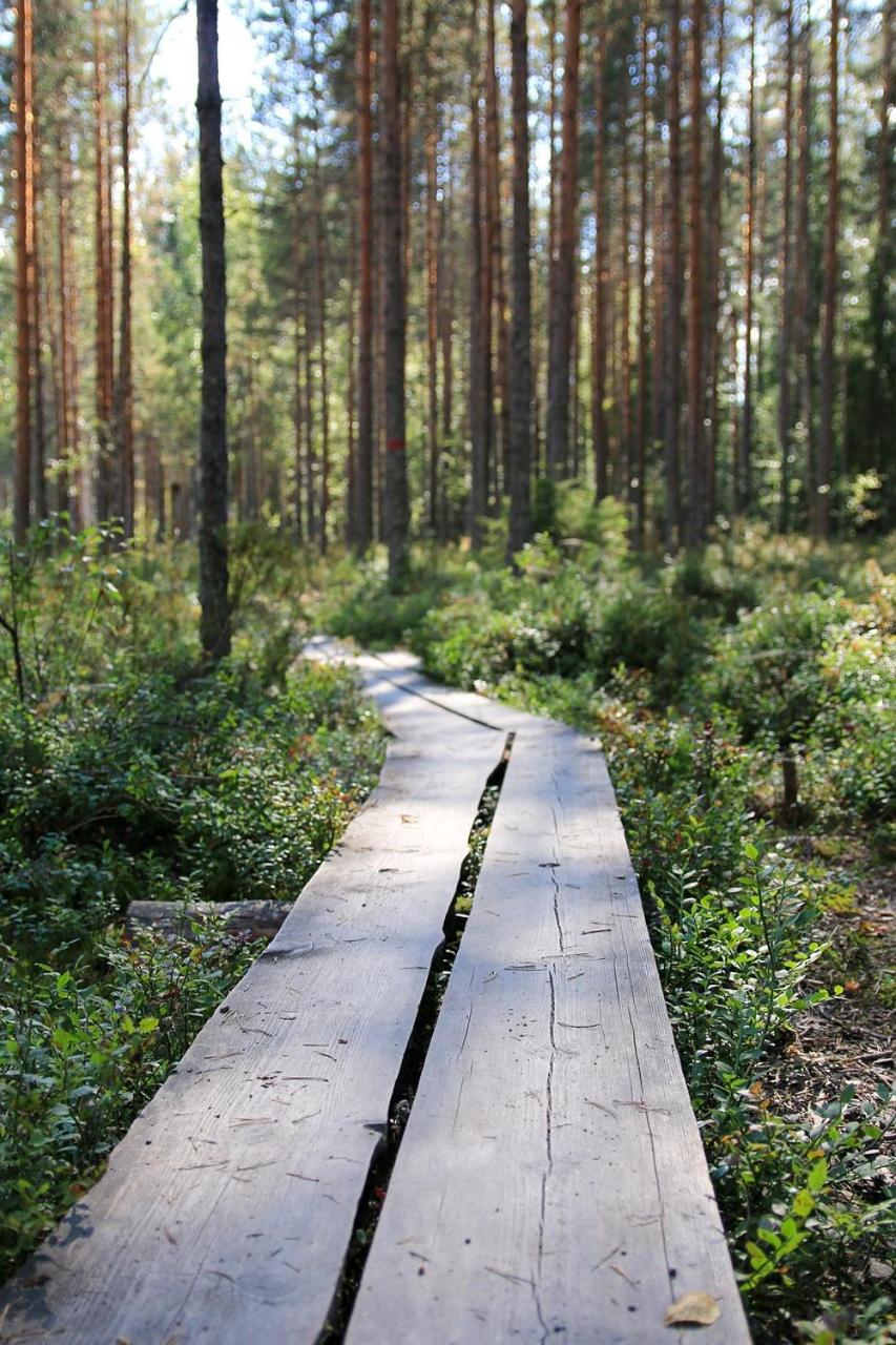 Nuaksen Kruunu