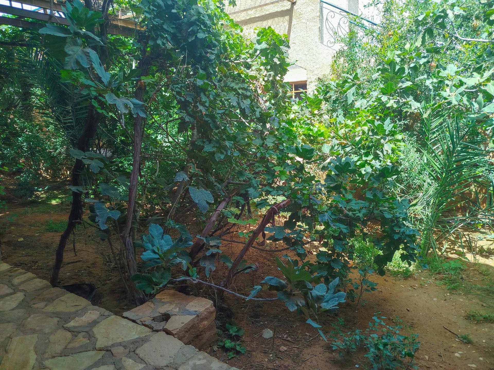 GITE BOUKHALFA