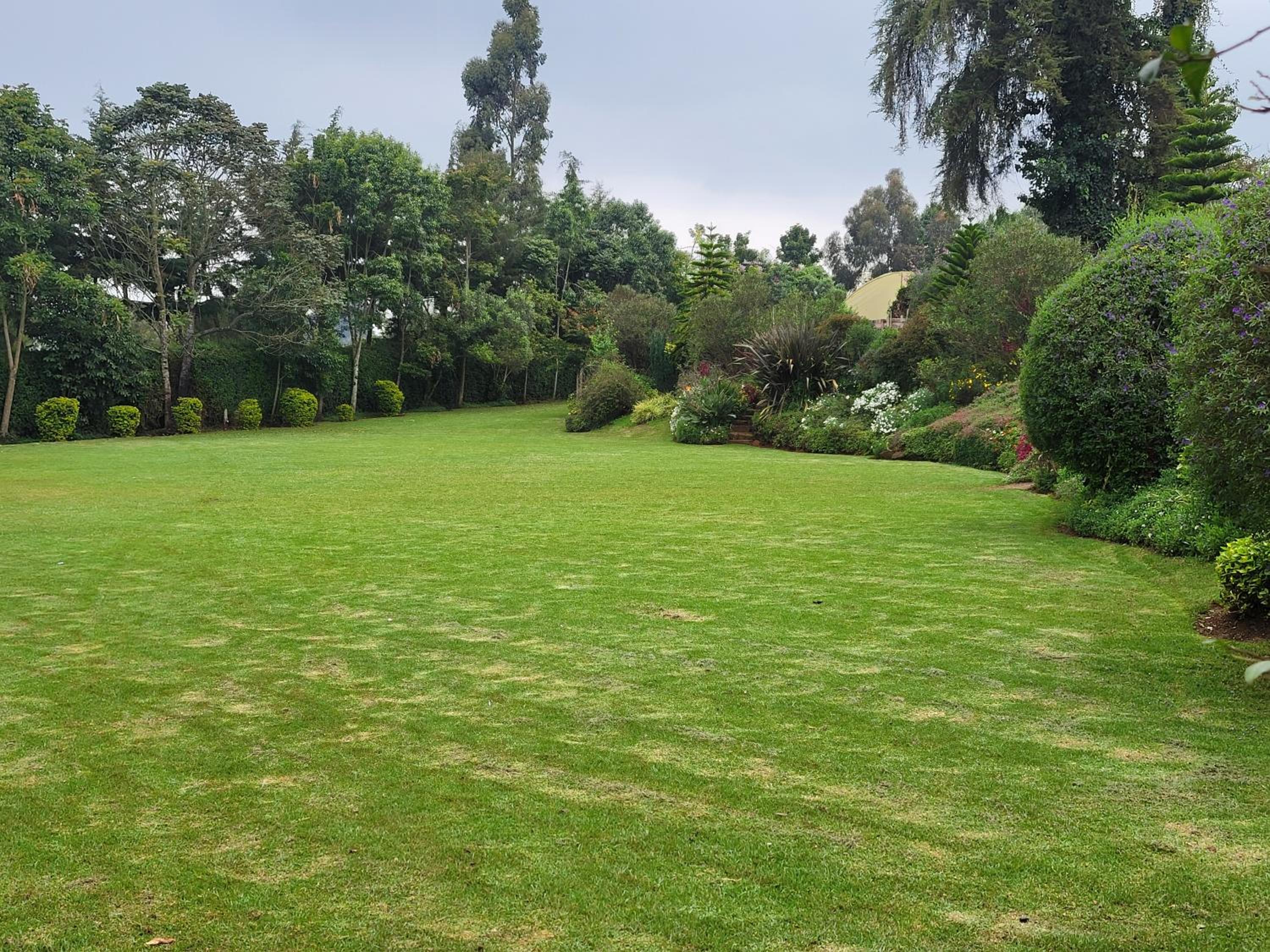 Enkishon suites