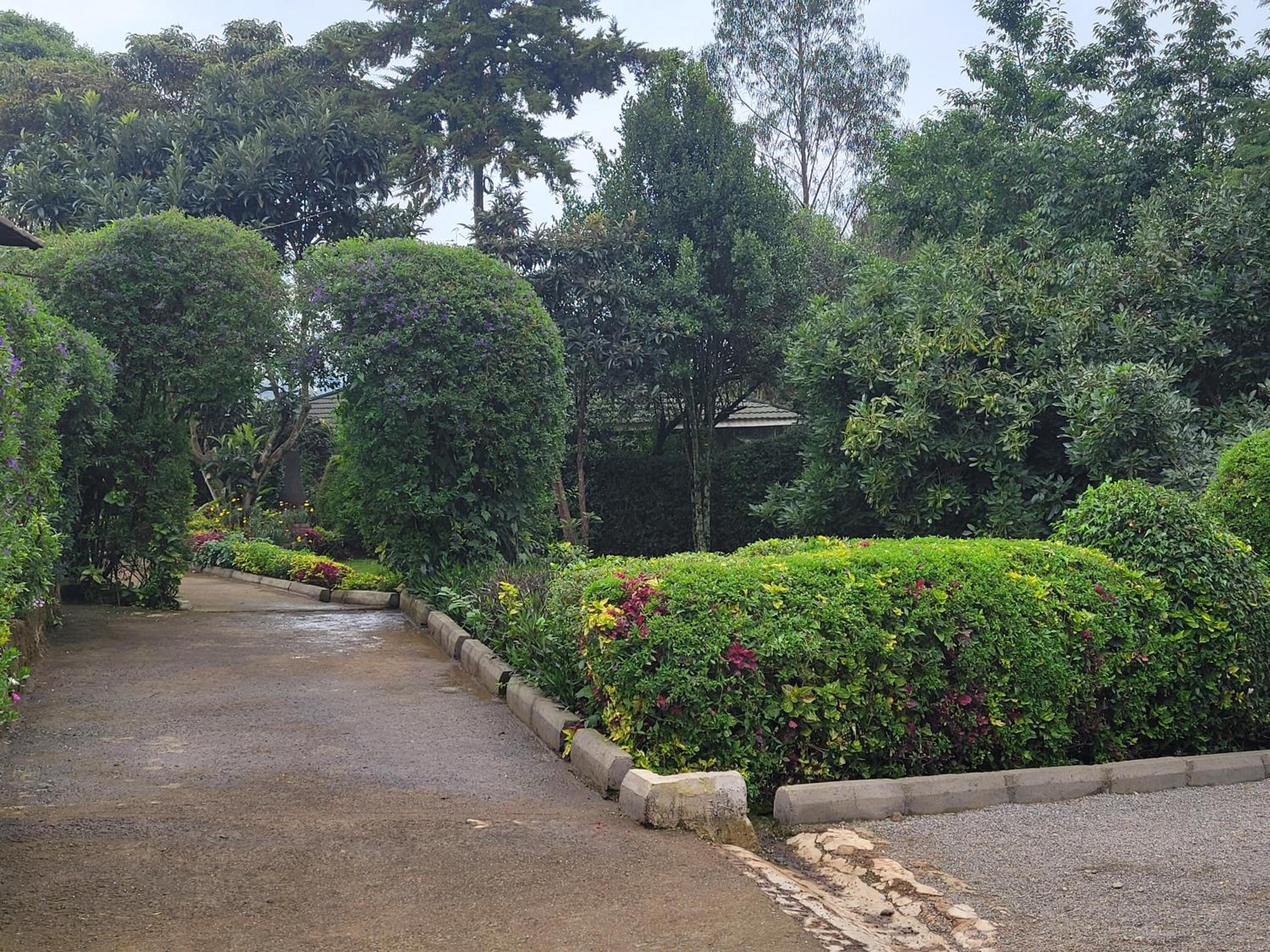 Enkishon suites
