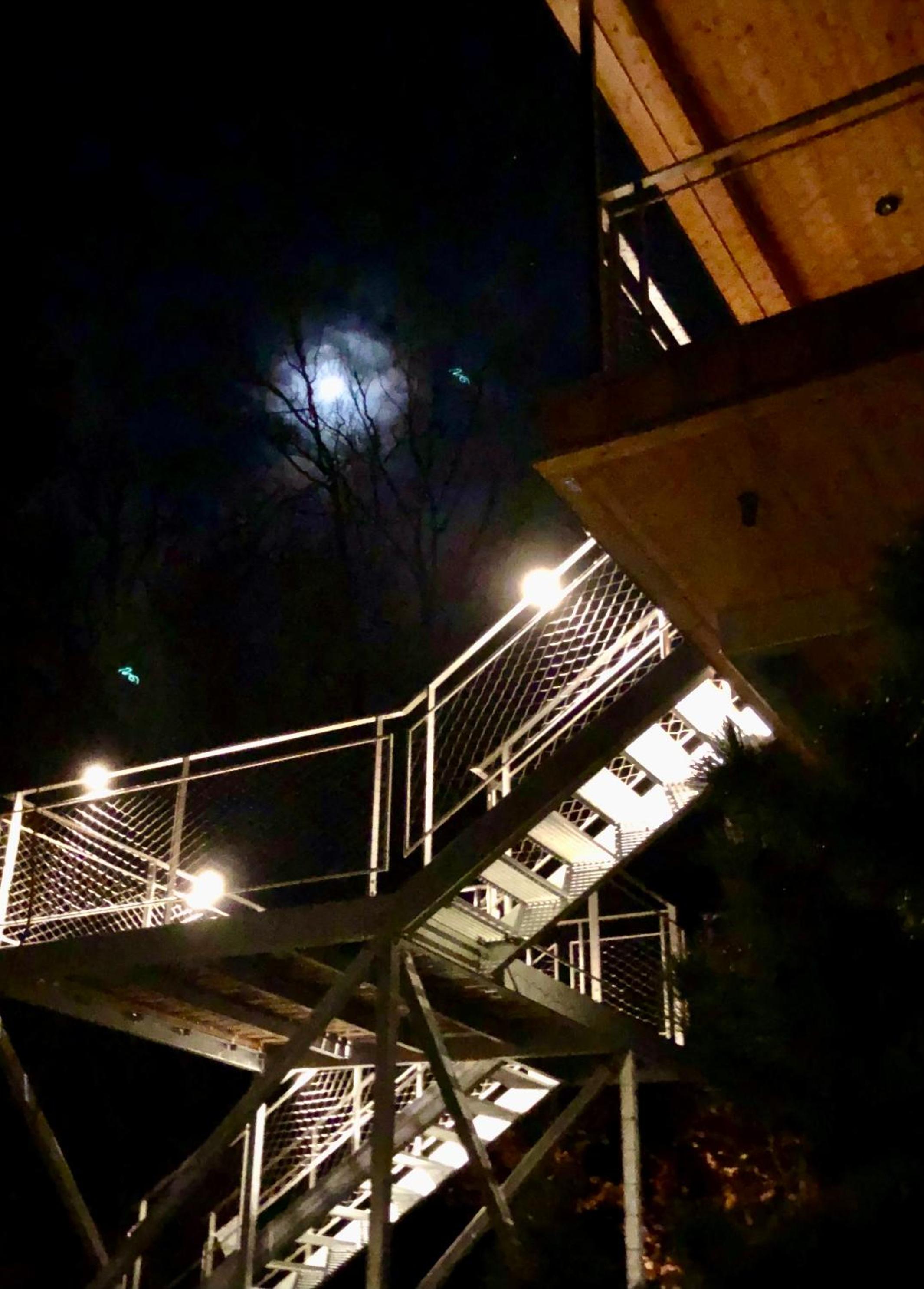 Baumwipfel-Resort 