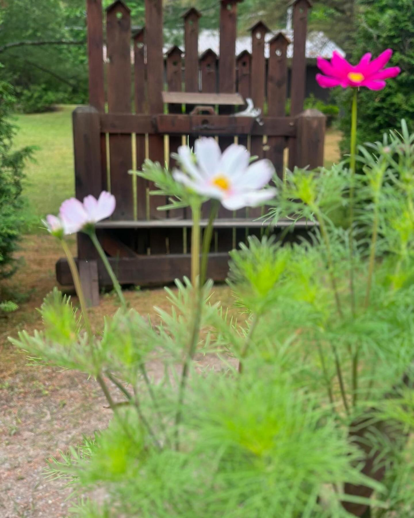 Domaine Chalets des pins