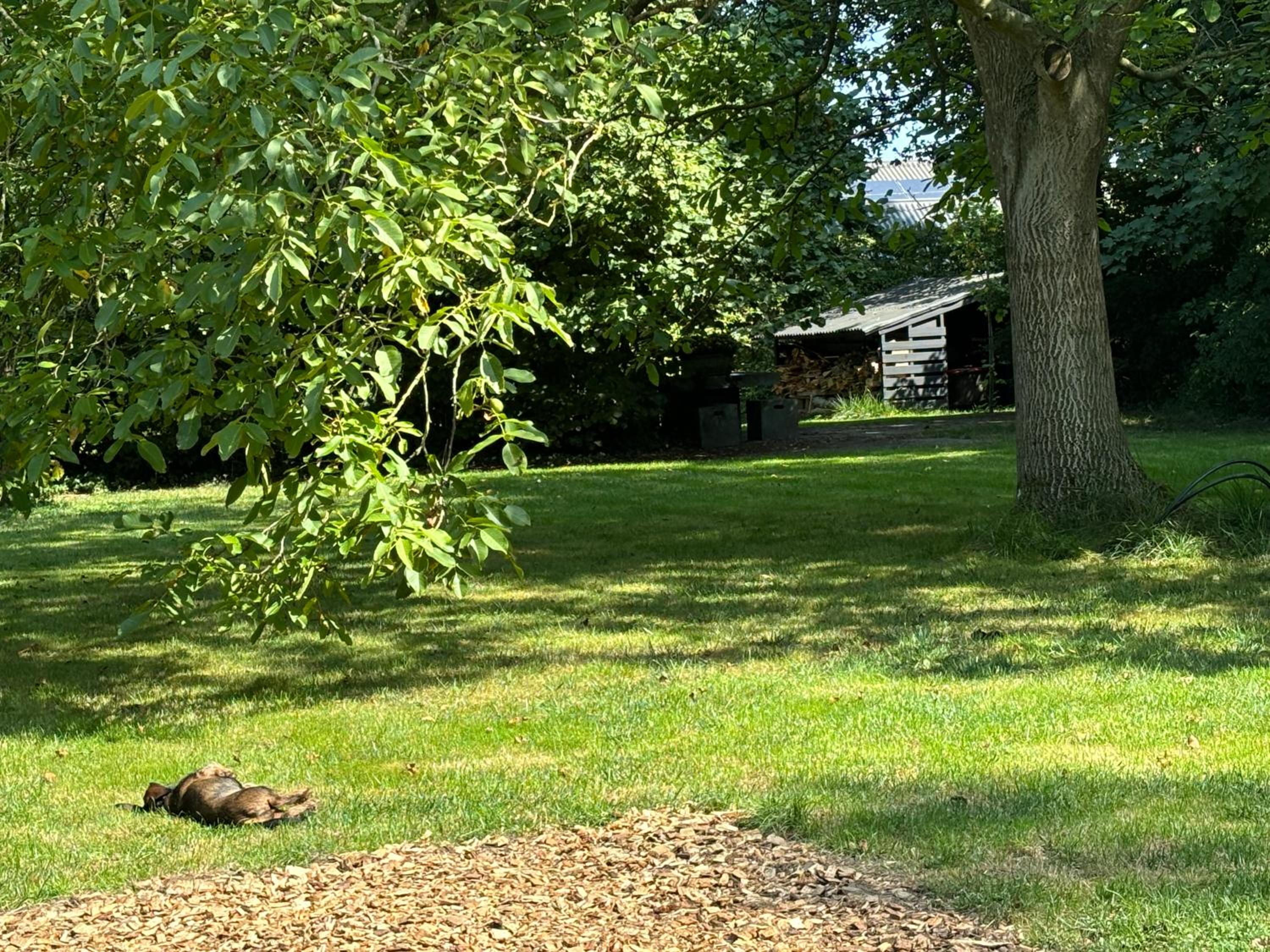 Photo 22