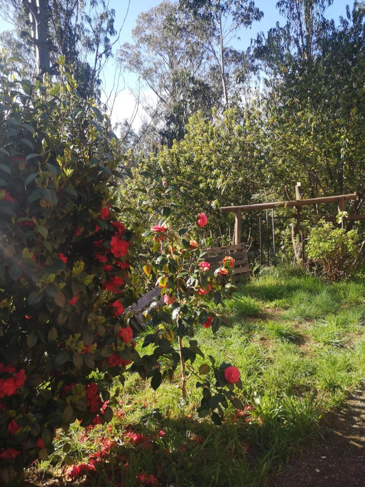 Casa en el Sector Bosque
