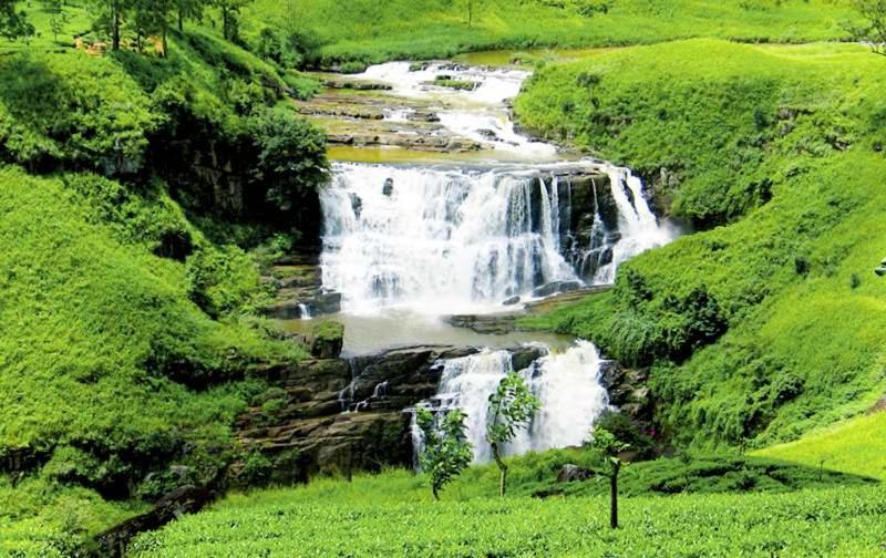 Waterfall Villas Villa 501 view 2