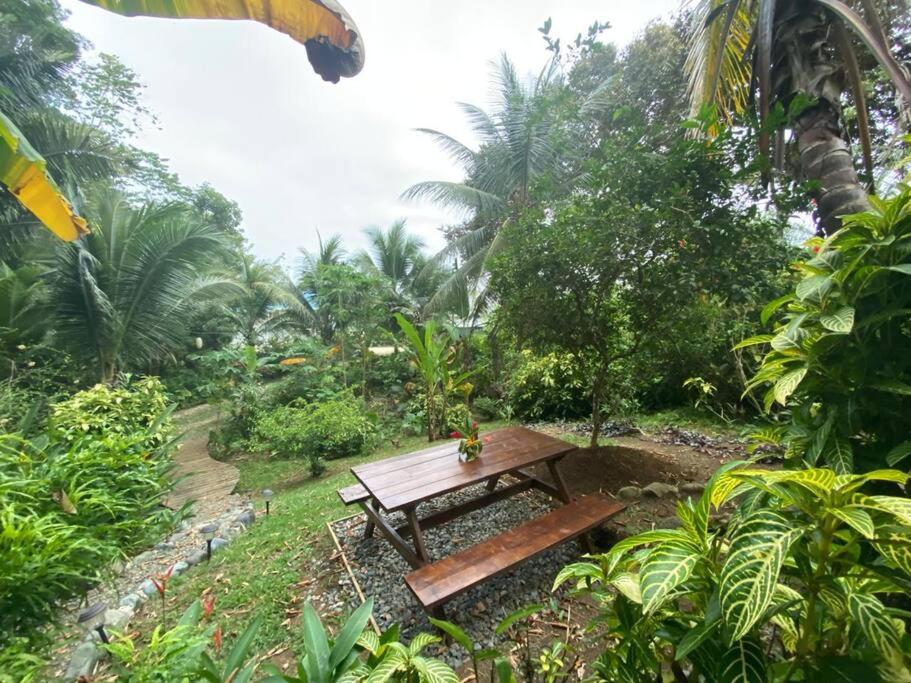 Custom Jungle Home by the Beach view 5