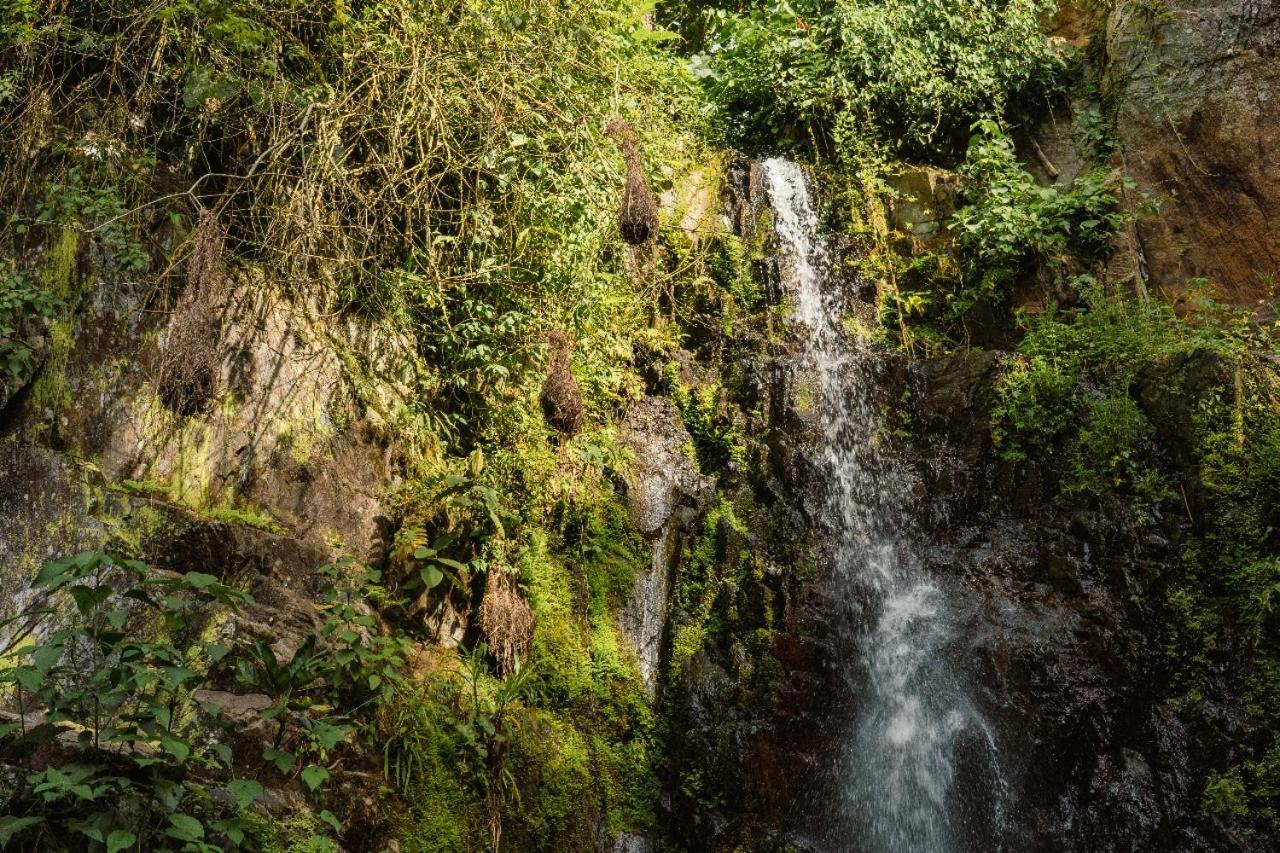 Cabaña Colgante en Ceja de Selva