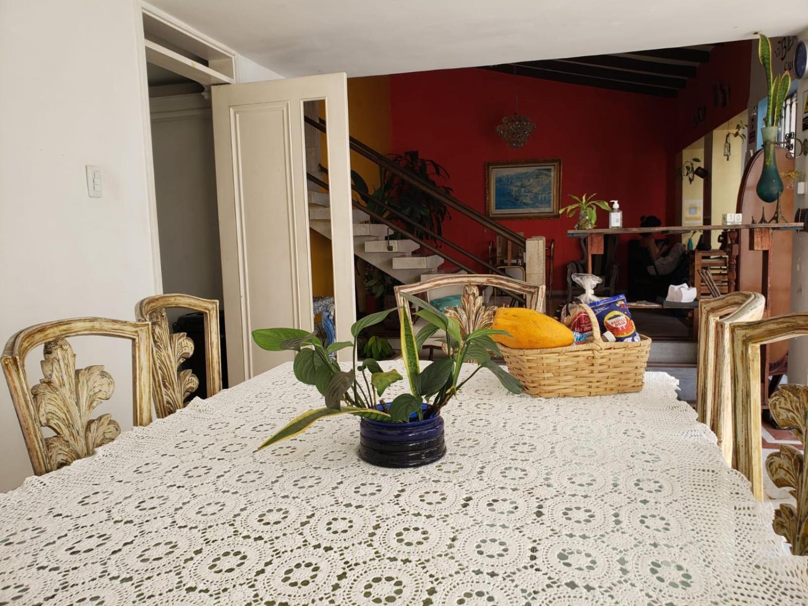 Timeless Oasis Hostel
