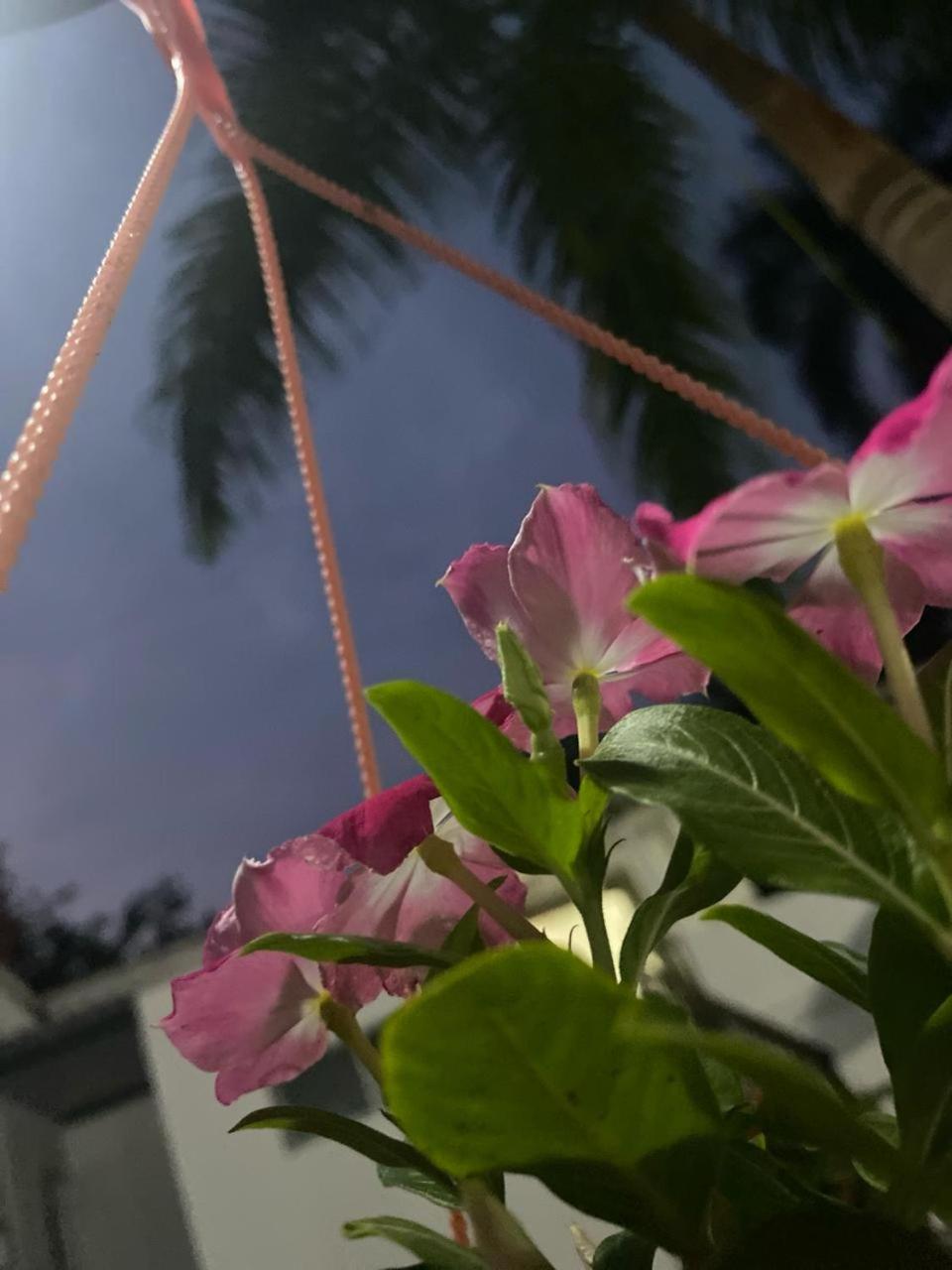 Quinta Las delicias en Melgar Tolima