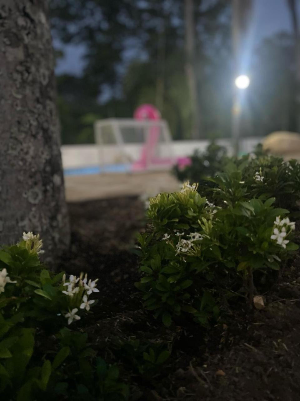 Quinta Las delicias en Melgar Tolima