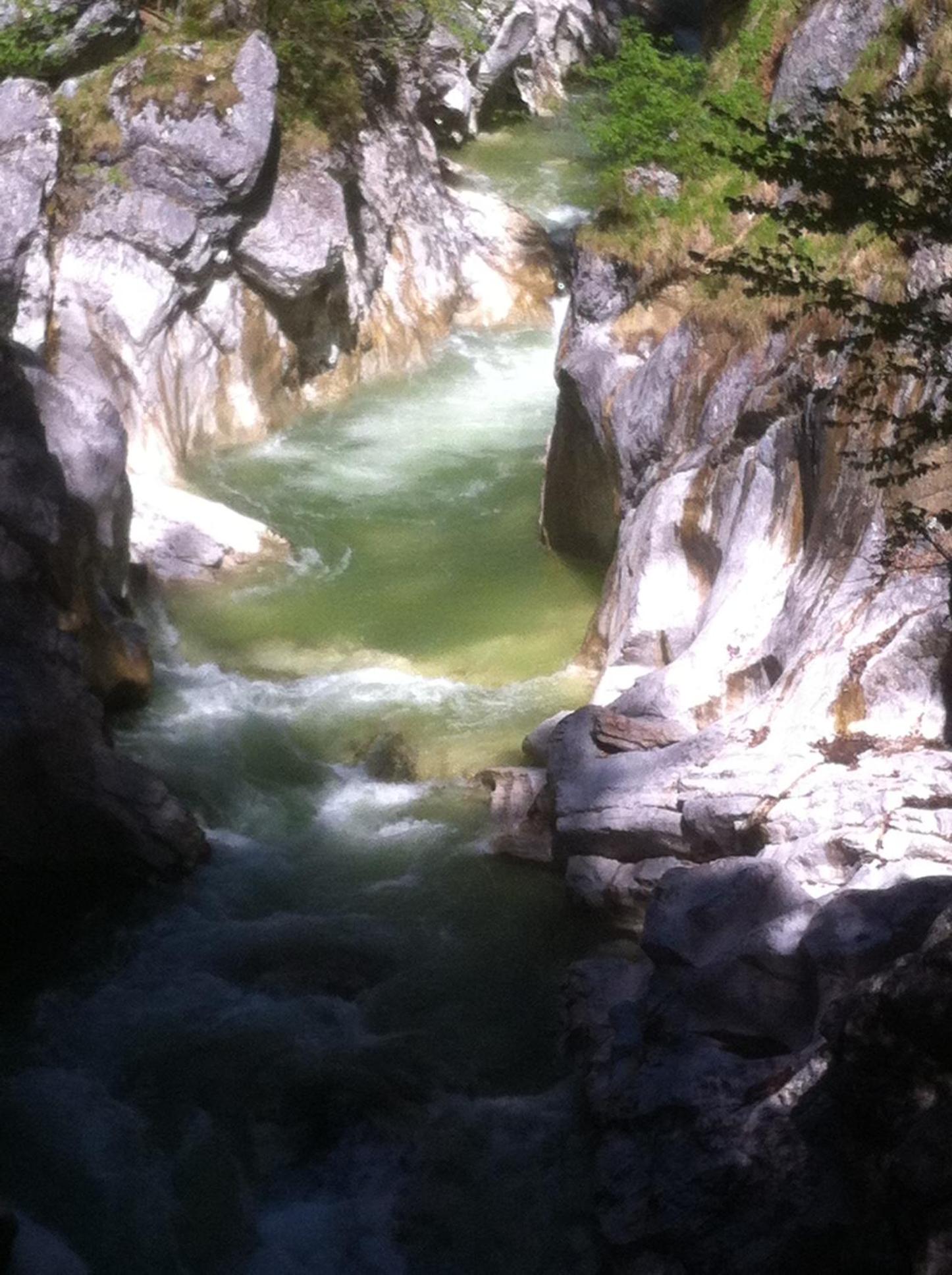 Photo 48