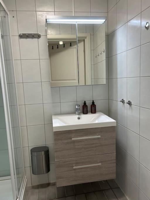Koselig studioleilighet i sentrum view 2
