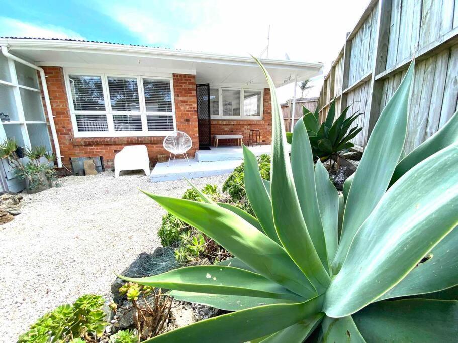 Own sunny quiet haven, own 1 bedroom house & garden with car park, central to Airport, CBD & Sylvia Park Mall